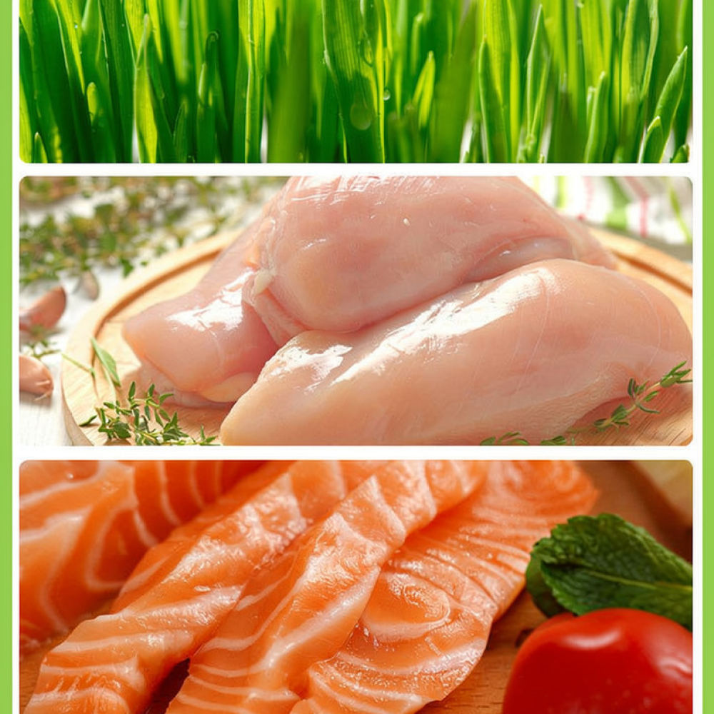 Gevriesdroogde kattengrasbites - Healthy Snacks Food recensie en prijs